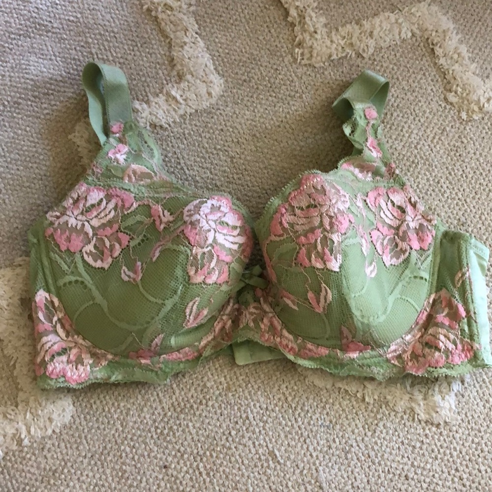 Beautiful pastel green lace bra with pink florals